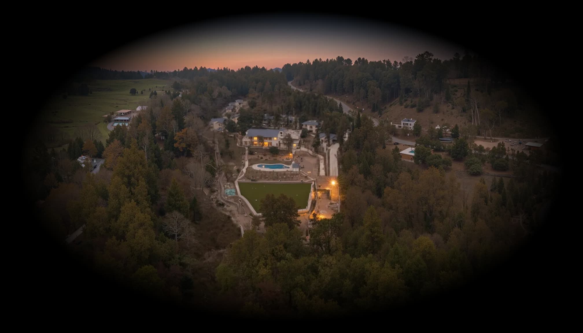 Forest Wedding Illustration